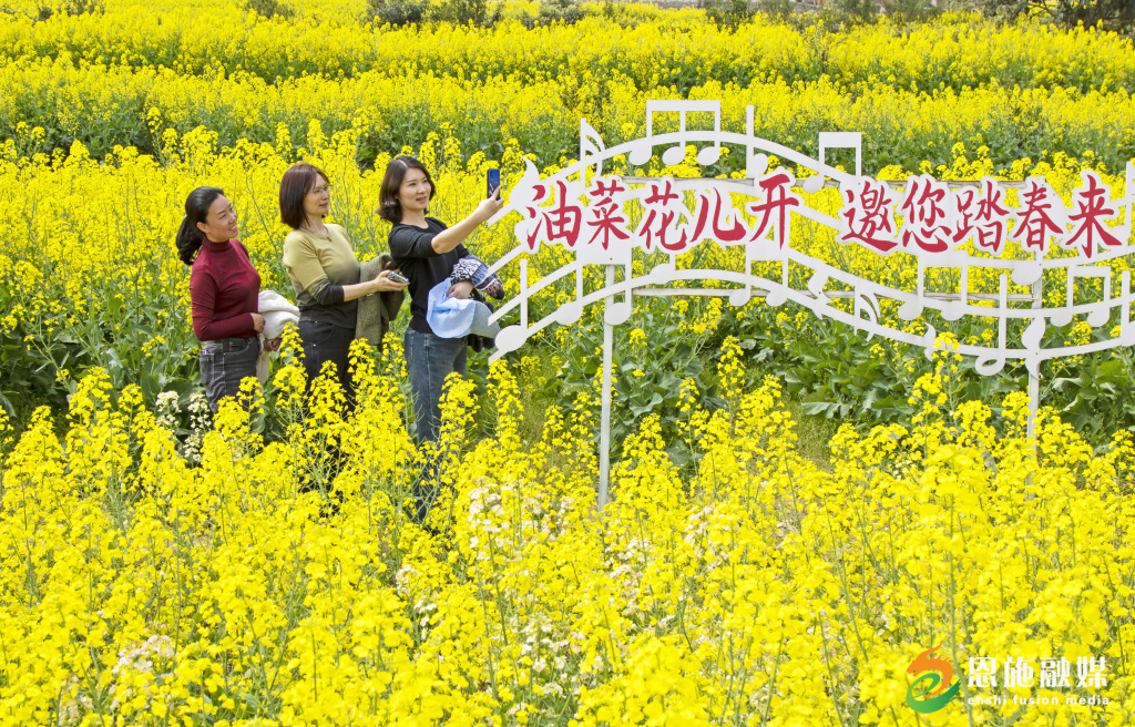 游客在何功偉村觀賞油菜花.jpg