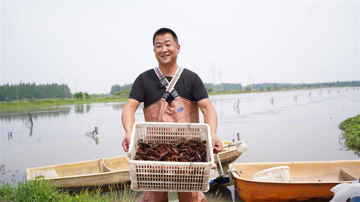 養(yǎng)殖戶(hù)關(guān)宏鵬收獲滿藍(lán)的小龍蝦，喜上眉梢。（湖北日?qǐng)?bào)通訊員 艾帥）