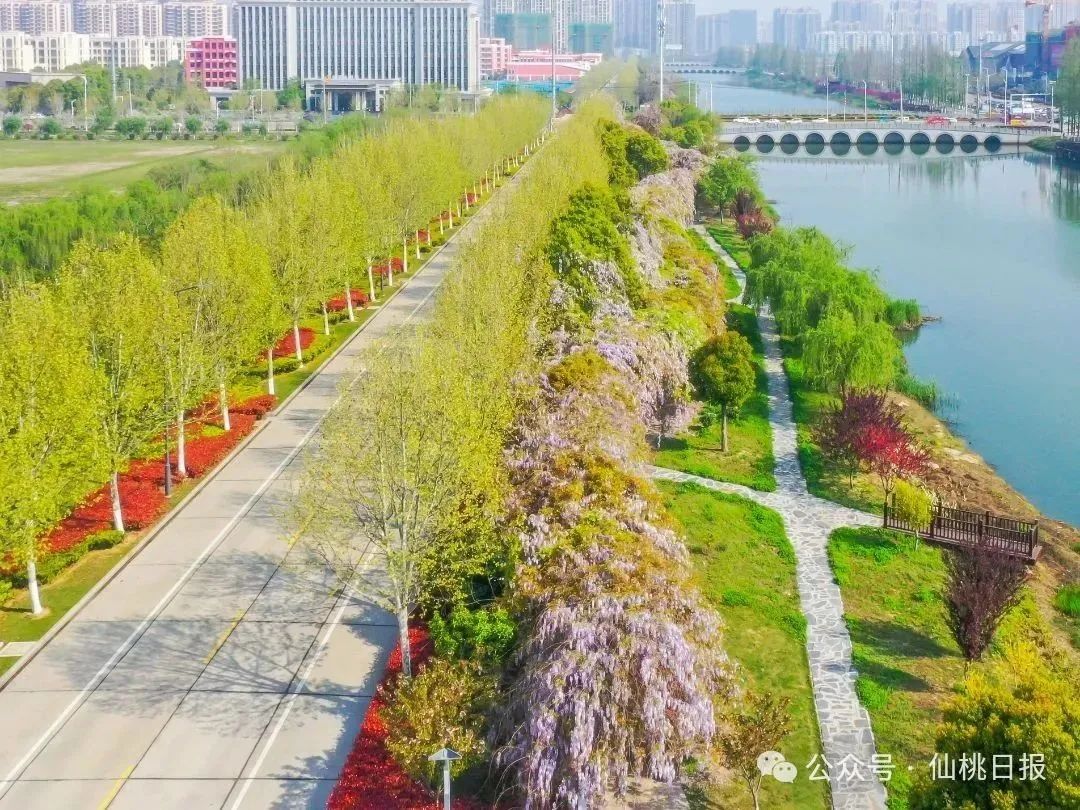 微信圖片_20250528102318.jpg